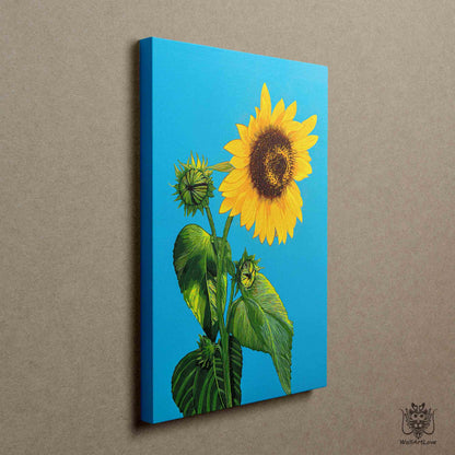 Canvas Print- Sunflower