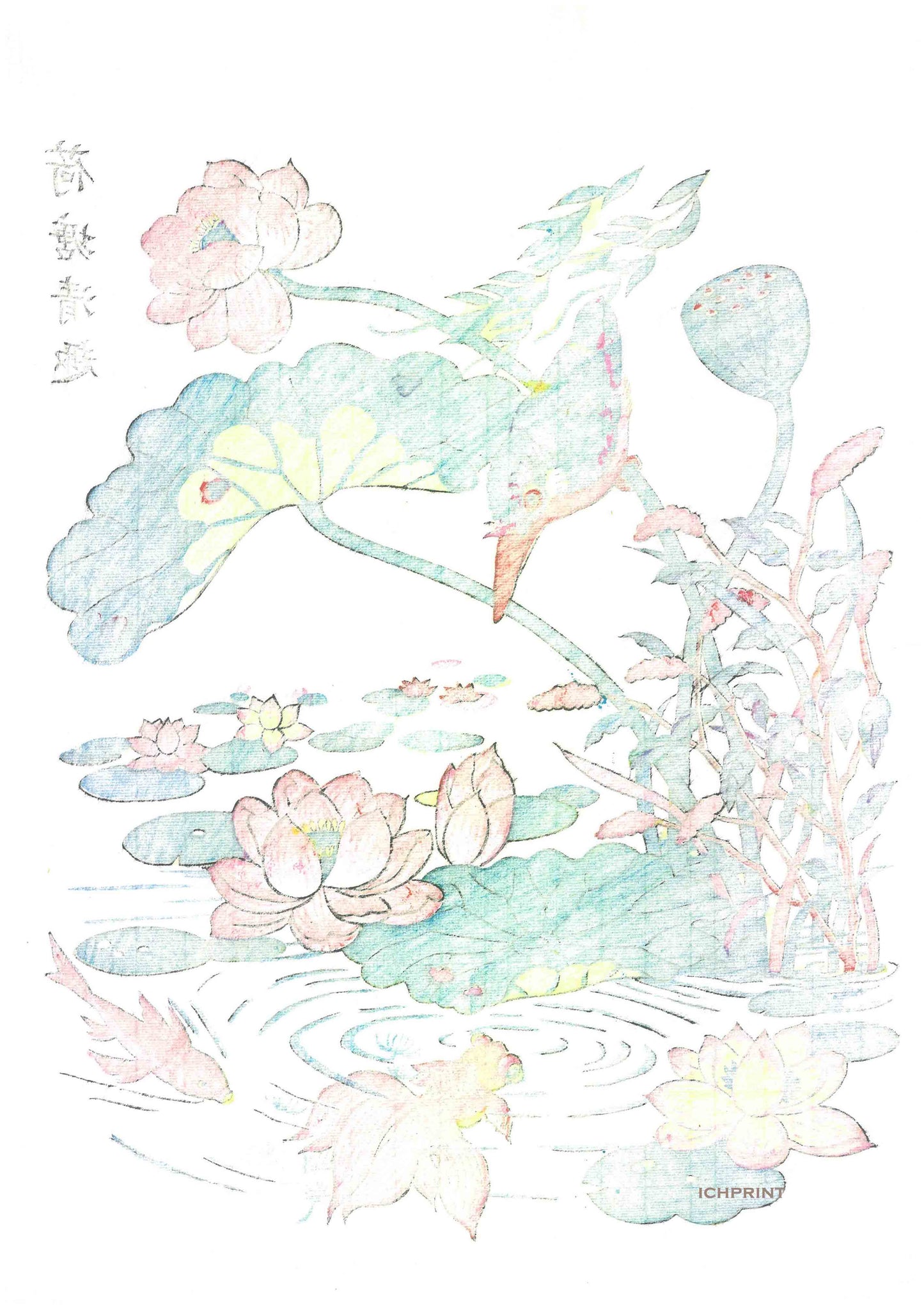 Back view of a original Chinese lotus pond woodblock print, reverse side details and subtle ink patterns. #original