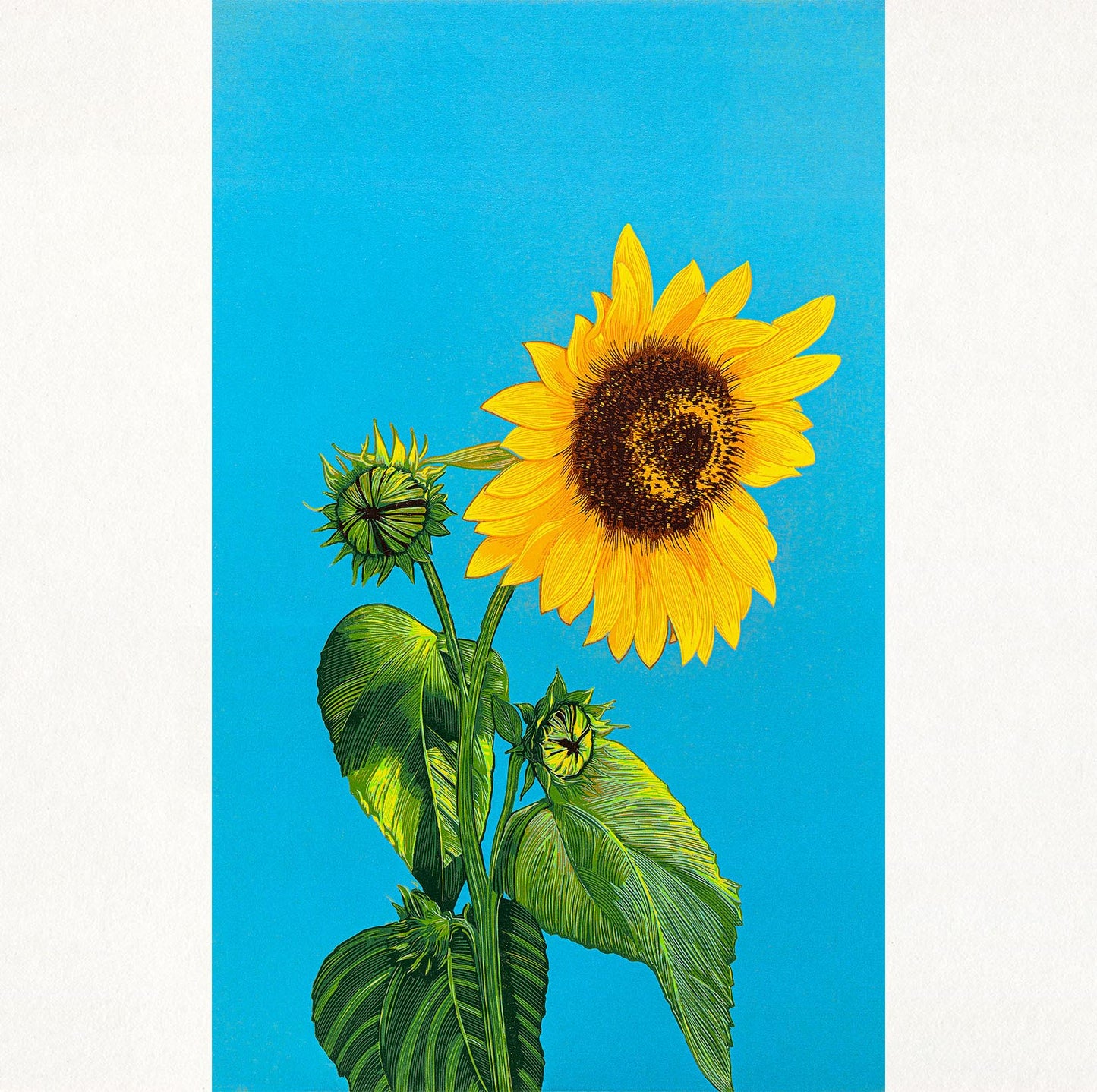 Sunflower Woodblock Print | Symbolizing Positivity and Vitality